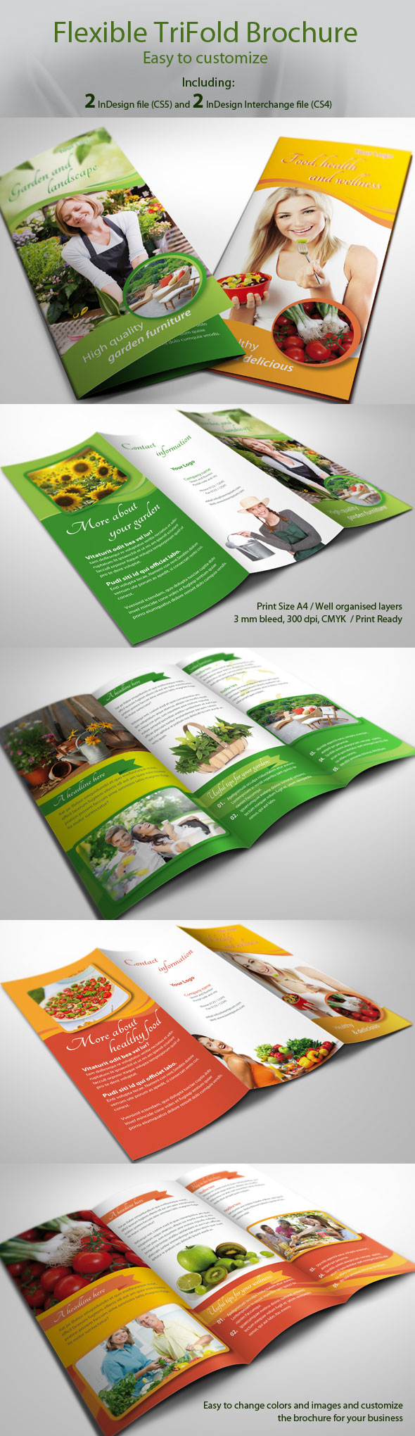 Trifold Brochures