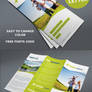 Trifold brochure wave