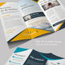 Business Trifold Brochure Vol. IV