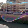 Gigantic iridescent bubble