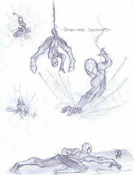 More spidey sketches
