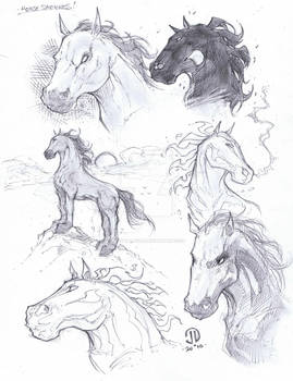 Horse warm up sketches