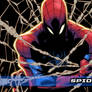 All webbed up wallpaper