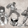 Wolverine sketches and studies