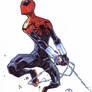 Superior Spider-man marker sketch