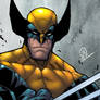  New Wolverine colors copy