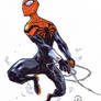 Superior spidey sketch inks redone markers