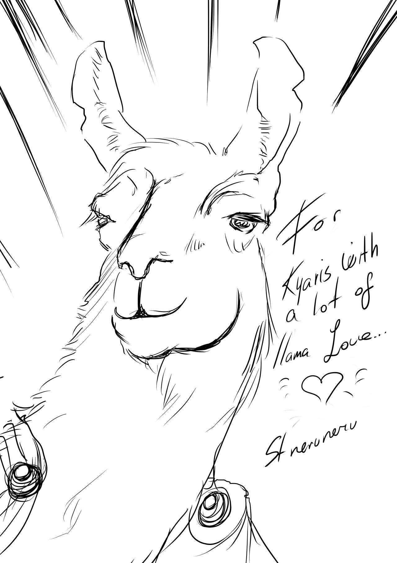 Llama Sketch - We Love Llamas