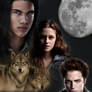 New Moon FanPoster