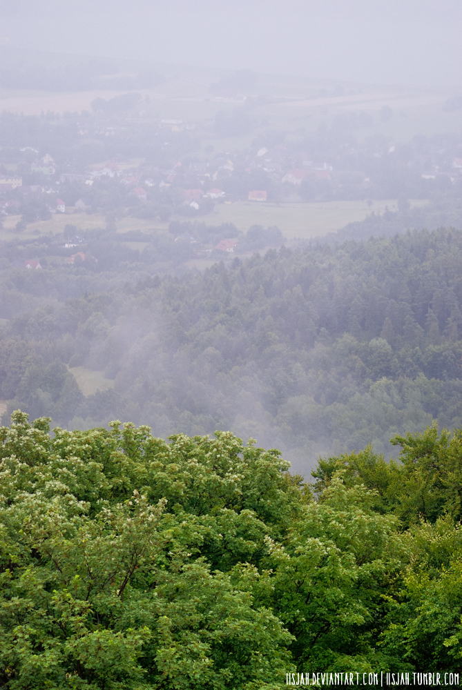 Karkonosze 1 - Misty forest