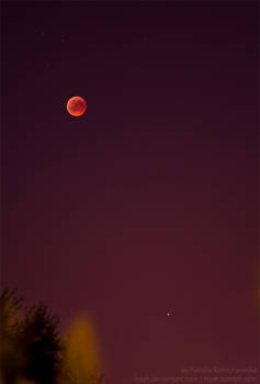 Blood Moon and Mars