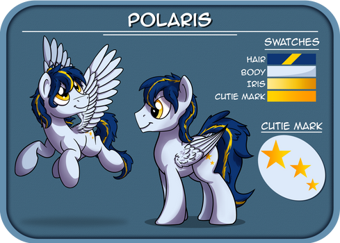 Polaris Reference Sheet (by ~Pirill-Poveniy)