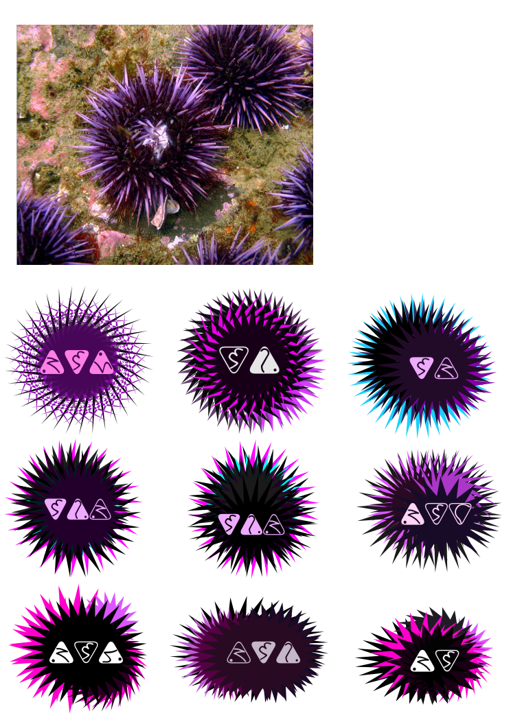 Trill Sea Urchin Signs