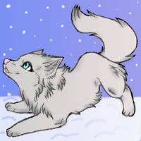 Snow Wolf