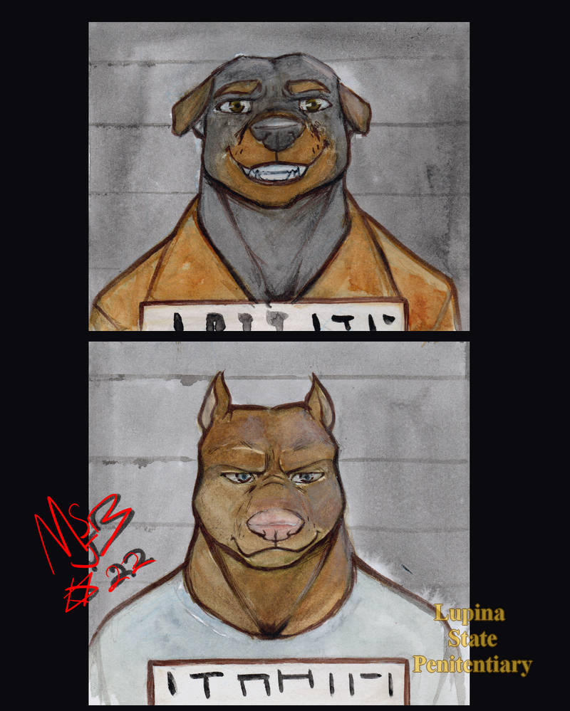 Muttshots by m1ckyj on DeviantArt