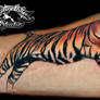 photorealistic tiger tattoo