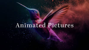 Animated Pictures (Premium Gallery)