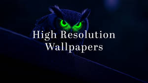 High Resolution Wallpapers (Premium Gallery)