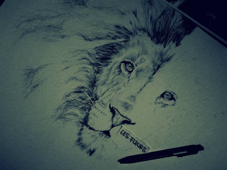 work in progress LION