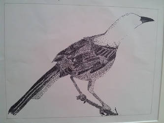 pointillism bird
