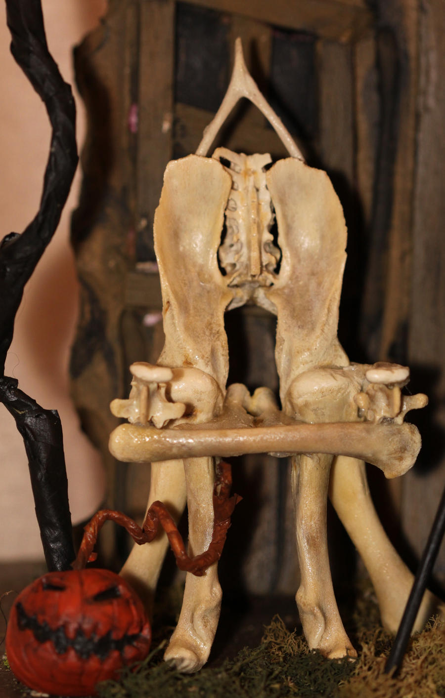 Witch- chicken bone chair