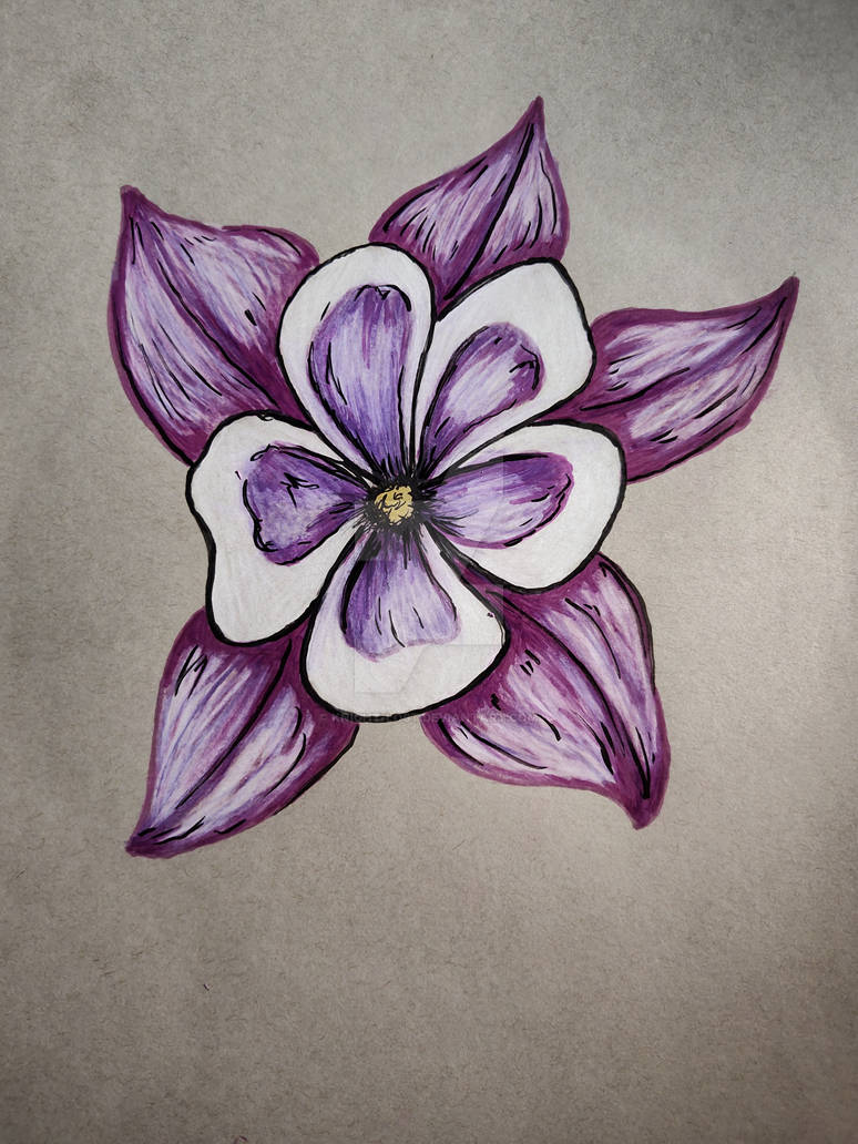 Columbine Flower by knightlost on DeviantArt
