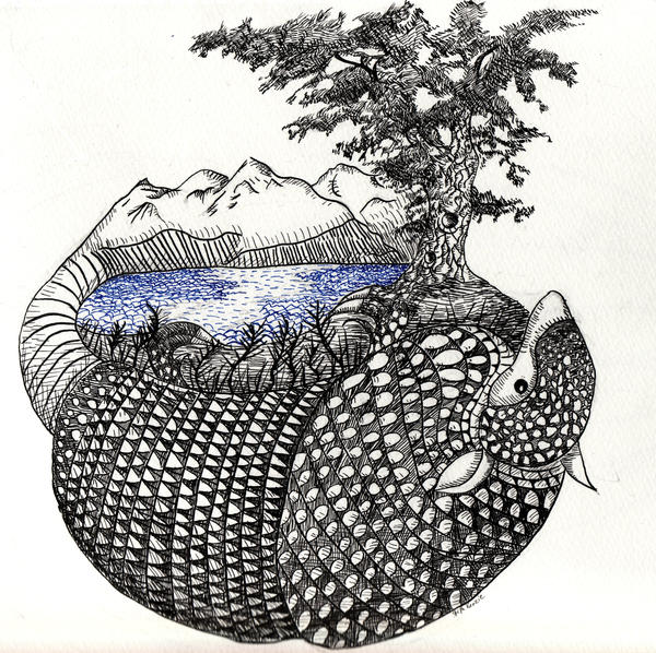 Armadillo Landscape