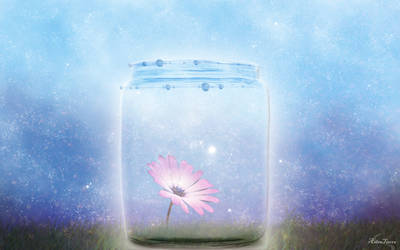 Stars In A Jar