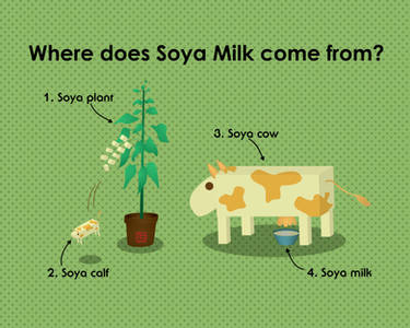 Where does Soya Milk come from