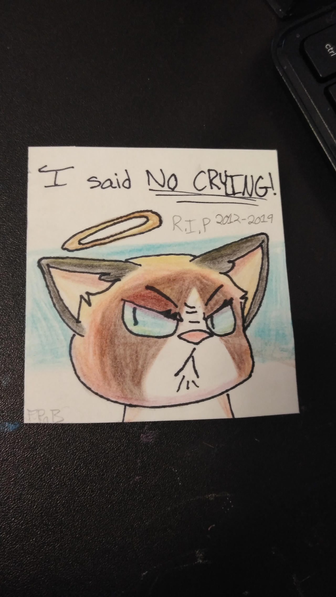 Rip Grumpy cat (aka tartar) by FluffyPinkandBlue on DeviantArt