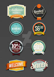 Retro Vintage badges