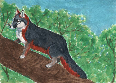 old painting  - a fox