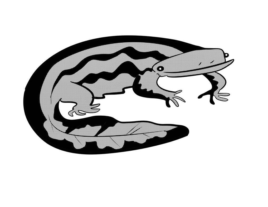 Hellbender Vector Hellbender by neotonic on DeviantArt