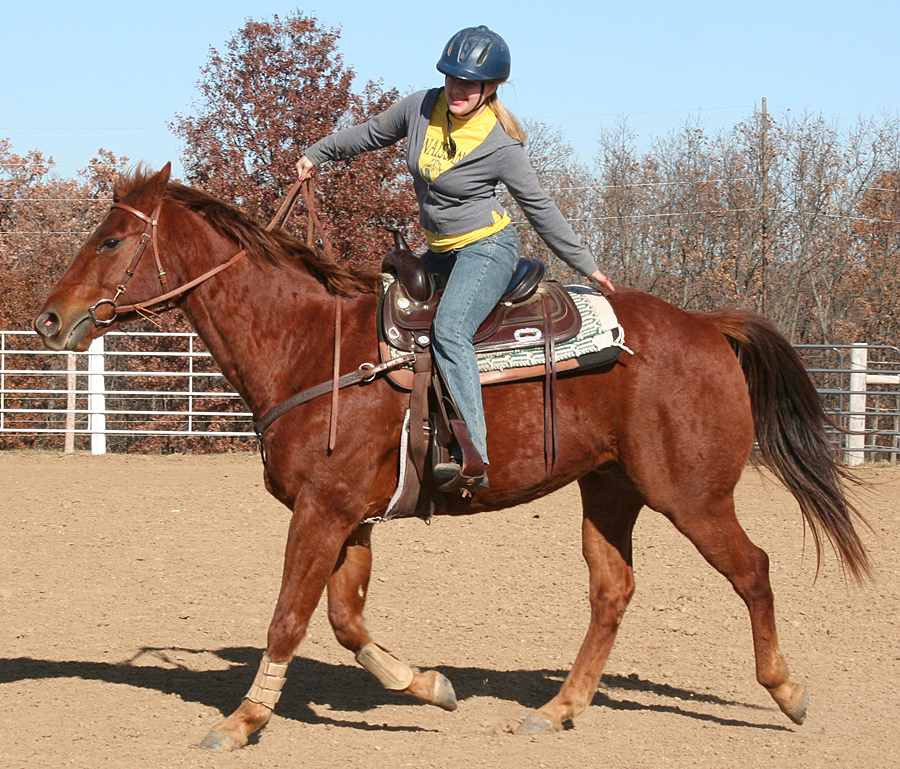 108 : Trot by Nylak-Stock