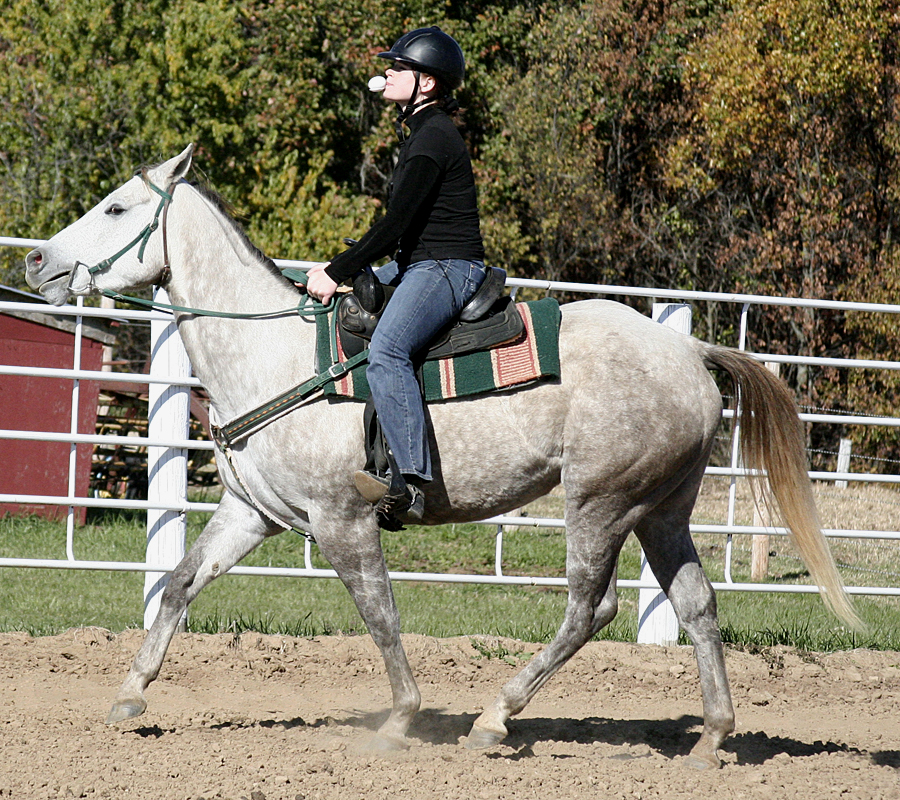 110 : Trot by Nylak-Stock