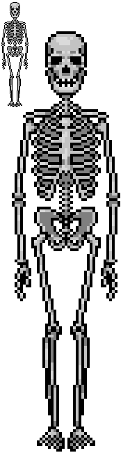 skeleton animated sprite