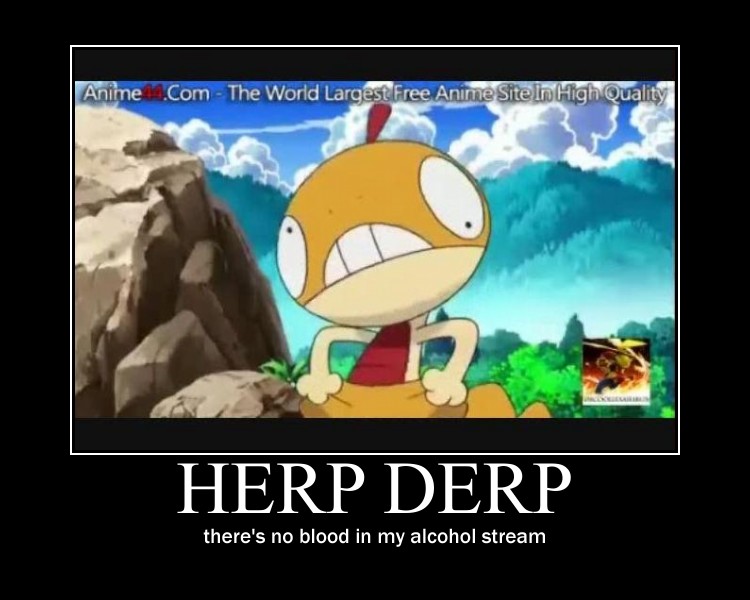 HERP DERP SCRAGGY