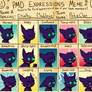 PMD Expressions Meme - Chalky