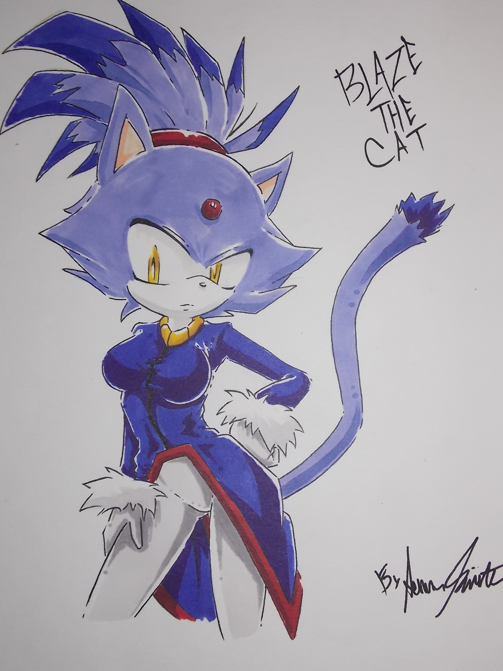 Blaze The Cat