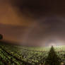 Car headlamp fogbow