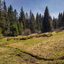 Blanice springs
