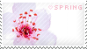 Spring Stamp by Kezzi-Rose