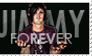 The Rev Stamp