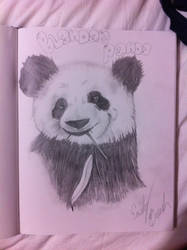 Blanda's Panda