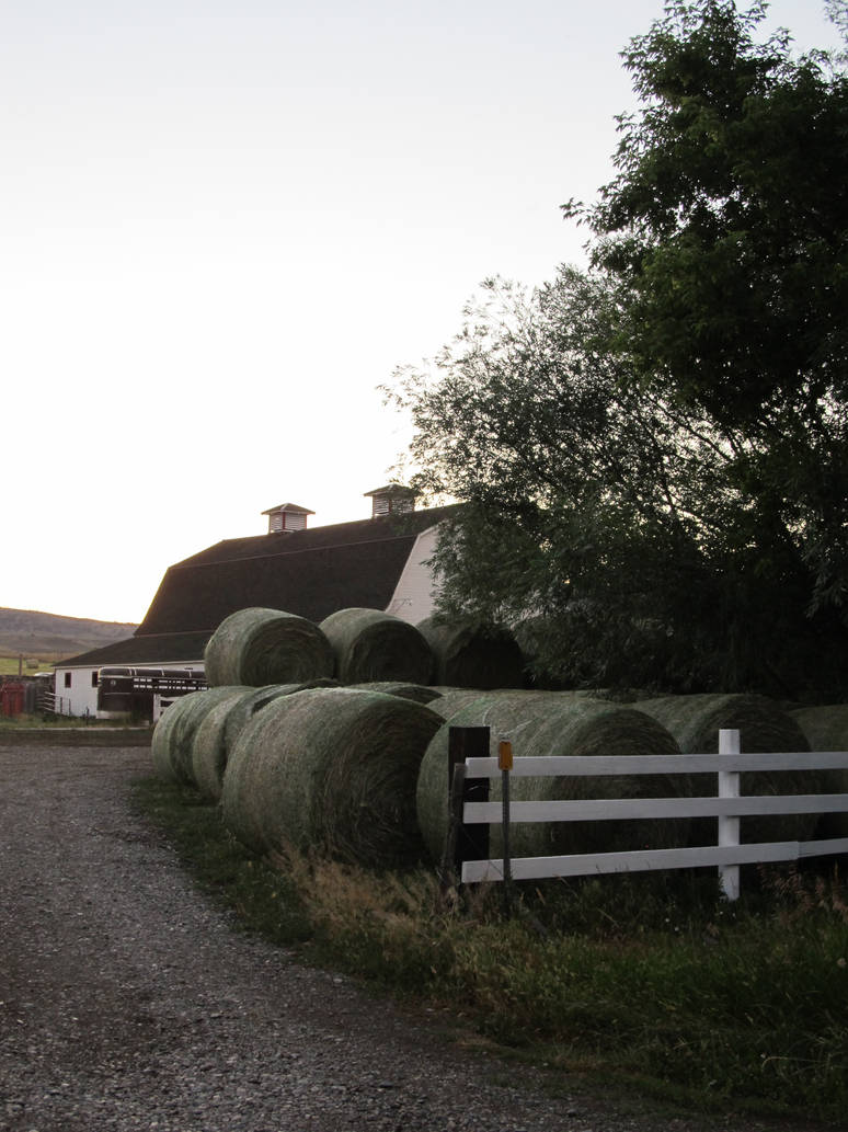 Perry Ranch Perry Ranch by Wandering-Coyote on DeviantArt