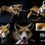 Phoenix red fox soft mount