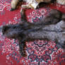 Fox pelt sold
