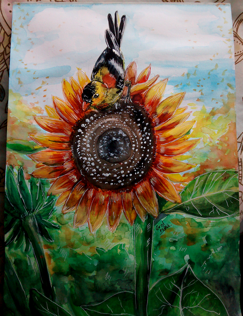 Sunflower