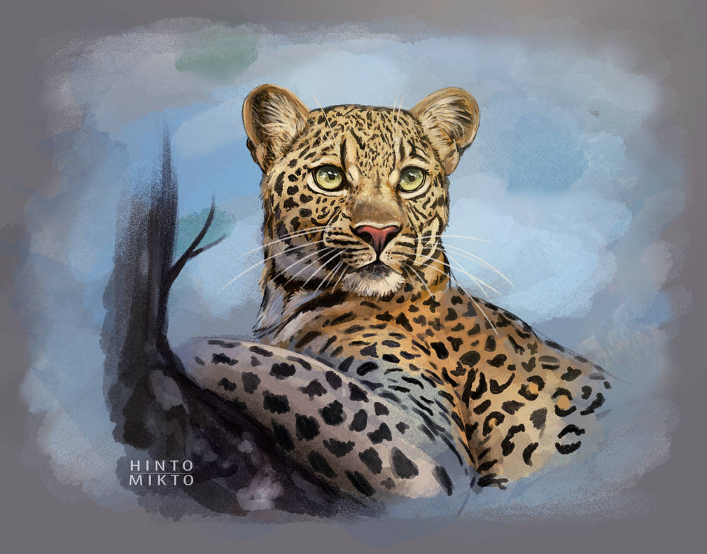 Leopard by HintoMikto