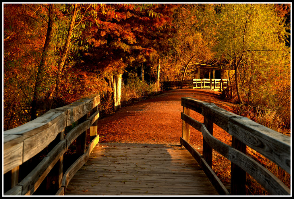 Path Ways 1 by jabroyles on DeviantArt
